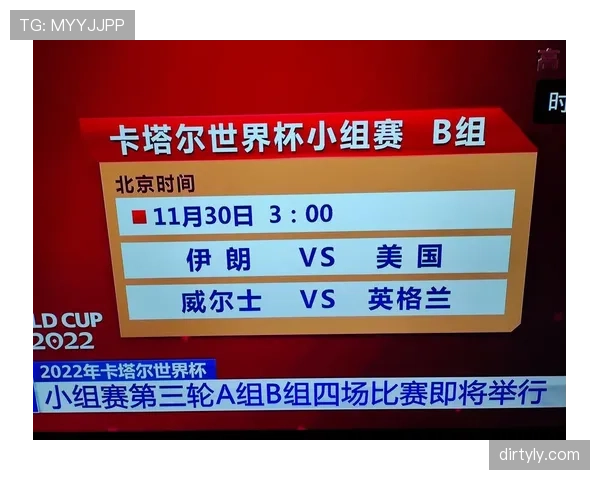 世界杯B组卡塔尔出线概率最新公布